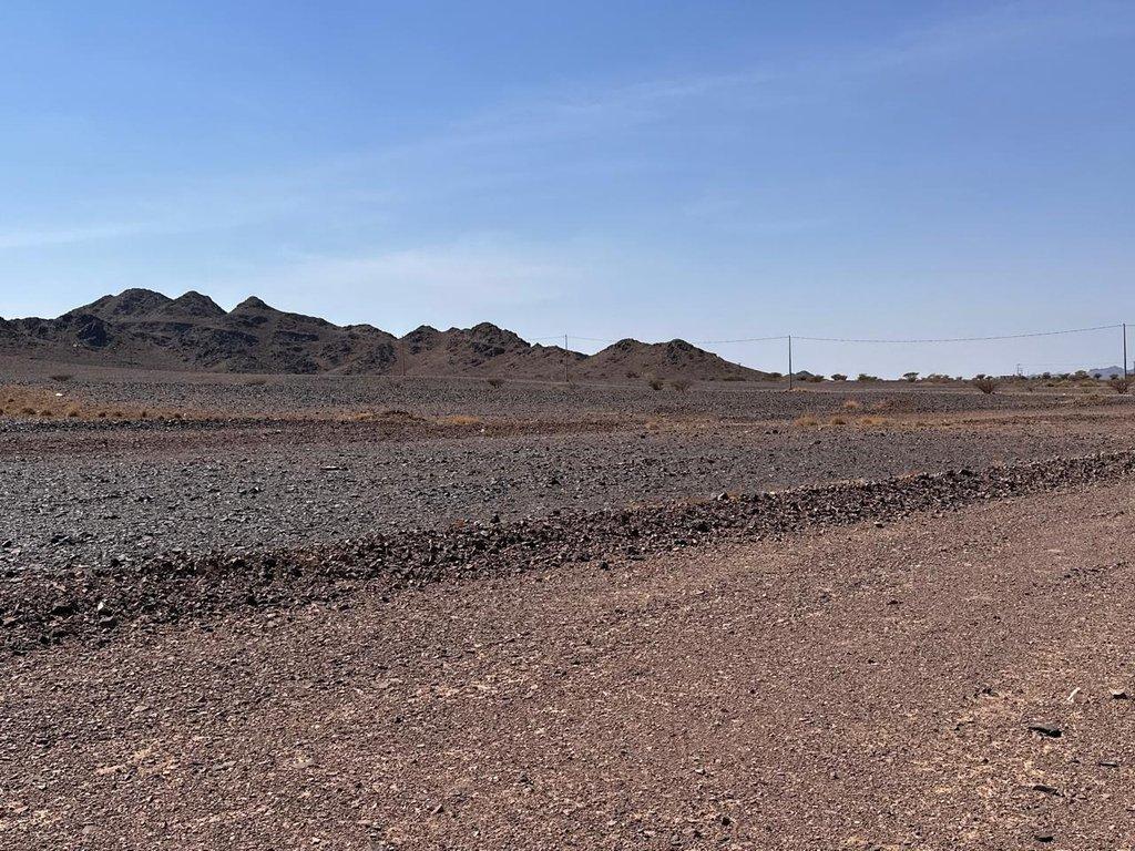 اعلان تسويقي